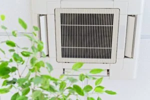 Indoor Air Quality In Palm Harbor, Tampa, Wesley Chapel, And Surrounding Areas In Florida